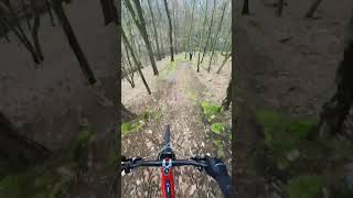 2 easy drop on ebike #trekbikes #rail #rail98 #emtb #mtb #ebike #enduro #bosch #insta360go3