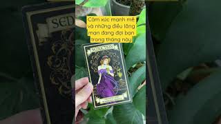 TAROT-SHORT: ĐIỀU LÃNG MẠN ĐANG CHỜ ĐỢI BẠN