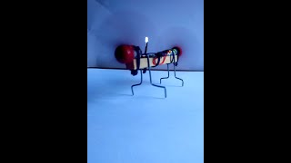 Rc Fun Toys | Remote Control Bug Bot #shorts #shortvideo