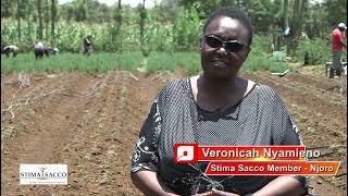 Veronica and Macharia's Journey - Beneficiaries of Stima Sacco Biashara Loan