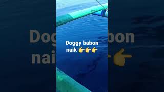 doggy babon naik dengan rod seascents by jackslite jacksvision #jacksvision #jigging