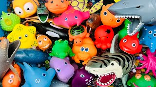 Learn Animal Names, Animal toys, Animals for kids, Sea Animals, Zoo & farm Animals names, shark toys