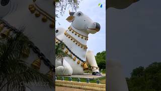 Mahanadi Garden In Mahanandi Village | Nallamalla Hills | Nandyal District | Channel27