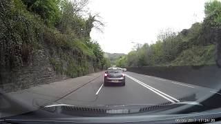 Wild Deer on A58 at Shibden