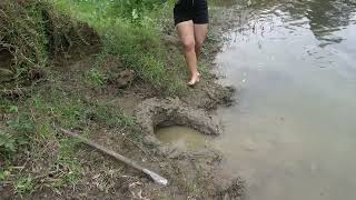 Amazing Video Fishing River. Dig Traps On The Riverbank To Catch Many Fish