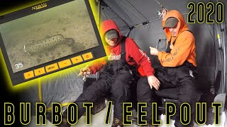 2020 Burbot / Eelpout Ice Fishing with Underwater Camera!