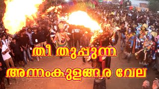 തീയിൽ ആറാടി അന്നംകുളങ്ങര വേല | Annamkulangara Pooram2024