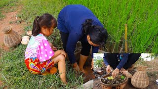 Catch & Cook Snails for Food  Cooking Snails natural Beautiful living Satisfying