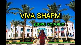 VIVA SHARM! ЕГИПЕТ 2024! ЛУЧШИЙ ИЗ ХУДШИХ ОТЕЛЕЙ ШАРМА