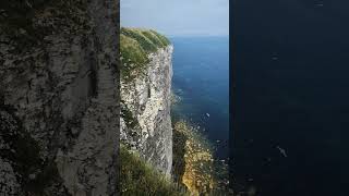 Sublime views at RSPB Bempton Cliffs 🐦