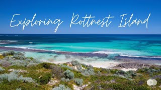 Exploring Rottnest Island, panoramic tour [CC] #RelaxingVideo #TravelAustralia