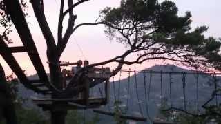 Alassio, Parco Solleone - Cena sull'Albero