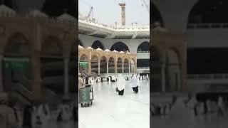 #new short of Makkah #bayan #kaba #shortvideo #love #kaaba #islamicpilgrimage #kabalive #