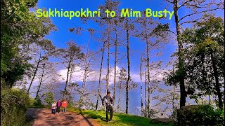 Trek and hitchhiking to Mim tea garden from Sukhiapokhri // Mim busty through jungle #livinginsolito