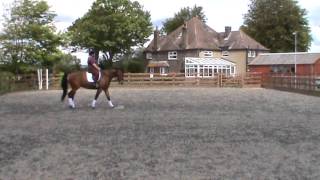 ID walk trot and canter May 2013