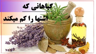 فواید گیاهان دارویی برای کم شدن اشتها