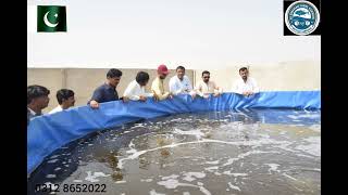 Alhumdulillah we provide Best Fish and Shrimp Farming service in Pakistan