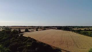 Early evening, Buckinghamshire