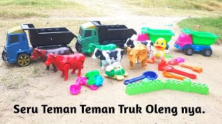 Truk Oleng Mencari Mainan Sapi Merah Sapi hijau Buaya besar Kura kura Bebek bertelur