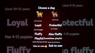 Choose a dog 🐕🐕🐕