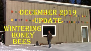 Honey Bee Update December 2019