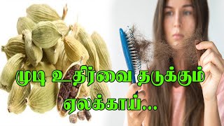 தலைமுடிகள் உதிர்வதை தடுக்கும் ஏலக்காய் | இயற்கை மருத்துவ முறைகள்