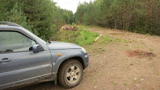 Дорога из деревни Костино в бывшую деревню Пахомово