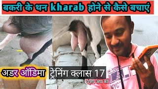 Bakri Ke Than Kharab Na Ho Kya Kare|Goatfarming Online Training Class|Vimalumrao