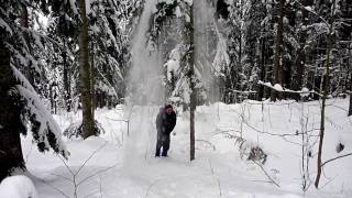 Alpine Gefahren: Gefährliche Baumschneelawinen