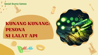 Kunang-Kunang : Pesona Si Lalat Api