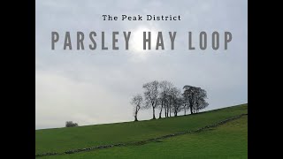 Parsley Hay Loop