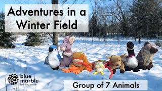 Adventures in a Winter Field | Group of 7 Animals | Hide and Seek