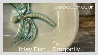 Iffley Dish   Dragonfly