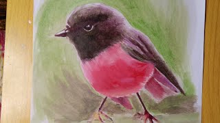 رسم عصفور سهل | رسم سهل و جميل في 15 دقيقة | how to draw birds