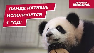 С днем рождения, Катюша! // Вечерняя Москва