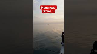 menunggu strike #shorts #fypmancing #hobimancing #mancingikan #mancingmania