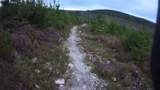 Ballyhoura Mt Bike Trail Ireland