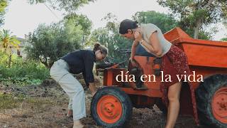 Dos hermanas viviendo en el campo - Receta de pasta con sardinas y terminando nuestro libro