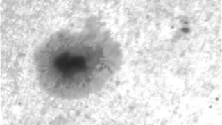 Sunspot AR1532 - August 1st 2012