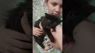 Ласковый Уголёк 🐈‍⬛🐾❤️