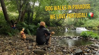 Does rain make Portugal even more beautiful? We explore another hidden gem with our dogs 🐶