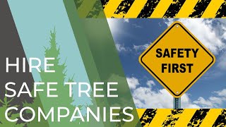 The Importance of Hiring a SAFE Tree Company