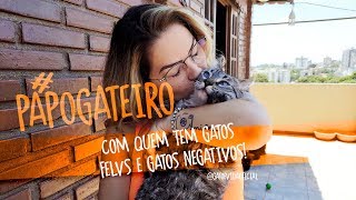 Gatos FELV+ podem conviver com Negativos? | PapoGateiro 1#