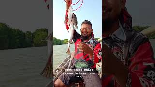 kakap putih muara beting kapten sardun bekasi jawa barat