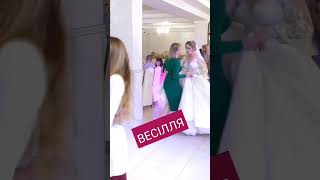 ВЕСІЛЛЯ. ГУРТ РОСА.ПОЇХАВ ТАТО ДО КОМАРОВА. #wedding #гуртроса #dance #весілля #музиканти #love #рек