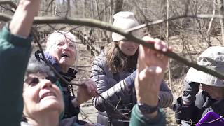 Citizen Scientists Study the Change of Seasons