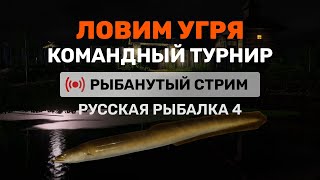 Пытаюсь ЗАКРЫТЬ УГРЯ ● КОМАНДНЫЙ ТУРНИР ● Русская Рыбалка 4