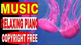 Relaxing Piano Music • Sleep Music - Beautiful Piano Music  • Relax, Study, Sleep Part 4