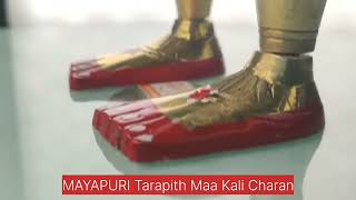 MAYAPURI Maa Kali Charan/Pital Tara Pith/Jay Bhavani Brass Feet, Tara Dham (1pair)