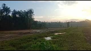 Beautiful village life in sri lanka.amazing views with natural sounds .wonderful sri lanka.